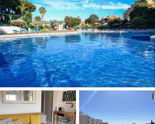 Swimming pool of Study to rent in Benalmádena  with Air Conditioner, Terrace and Balcony