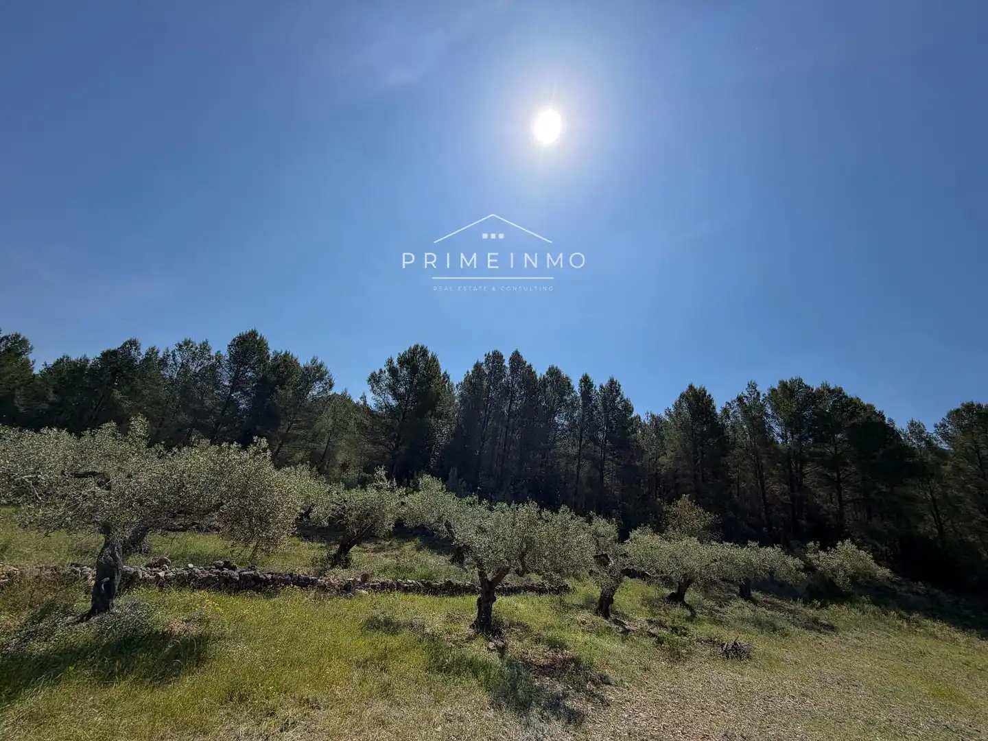 Terreno rústico en venta en L'Ametlla de Mar pueblo, imagen 22