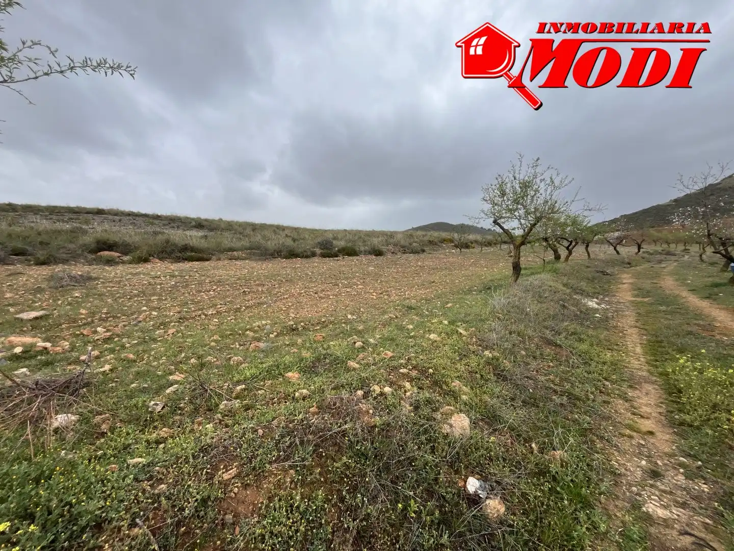 Residencial en venta en Albuñuelas