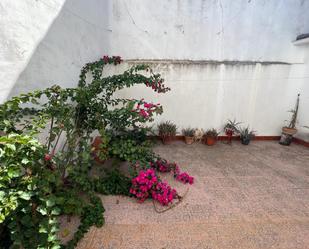 Jardí de Casa o xalet en venda en Belalcázar amb Terrassa