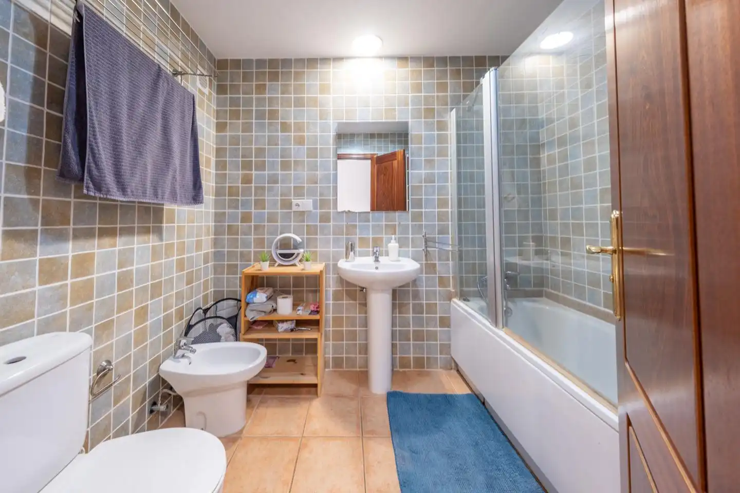 Baño de Casa o chalet en venta en Agaete