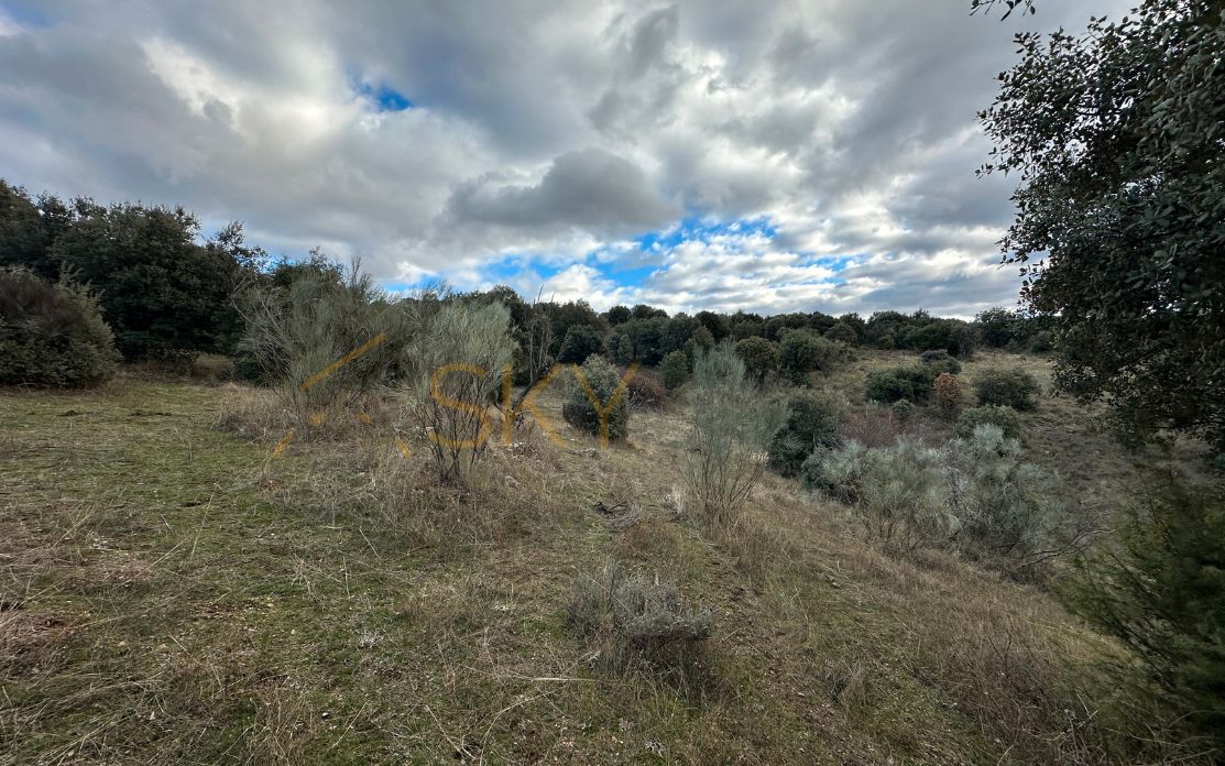 Grundstücke zum verkauf in Robledo de Chavela