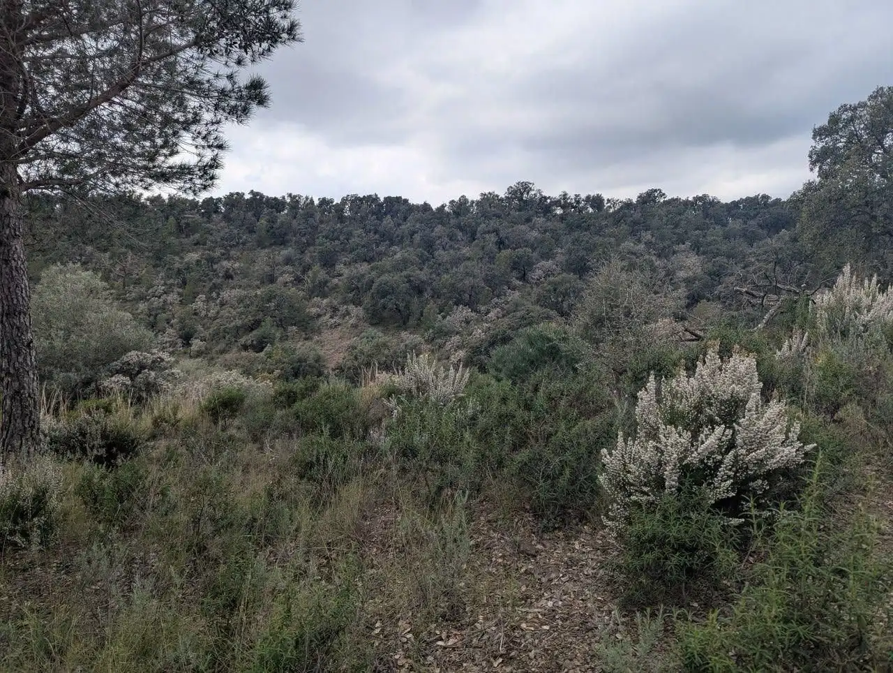 Residencial en venta en Pedret i Marzà