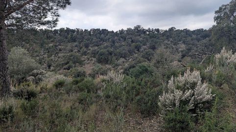 Foto 3 de Residencial en venda a Montperdut, Pedret i Marzà, Girona