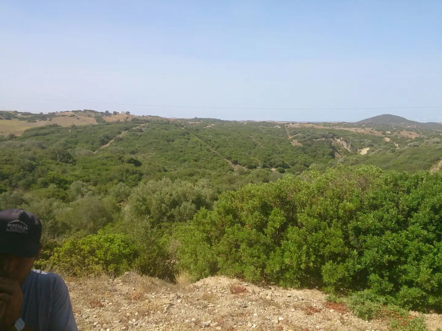 Terreny rústic en venda a Medina Sidonia, imagen 21