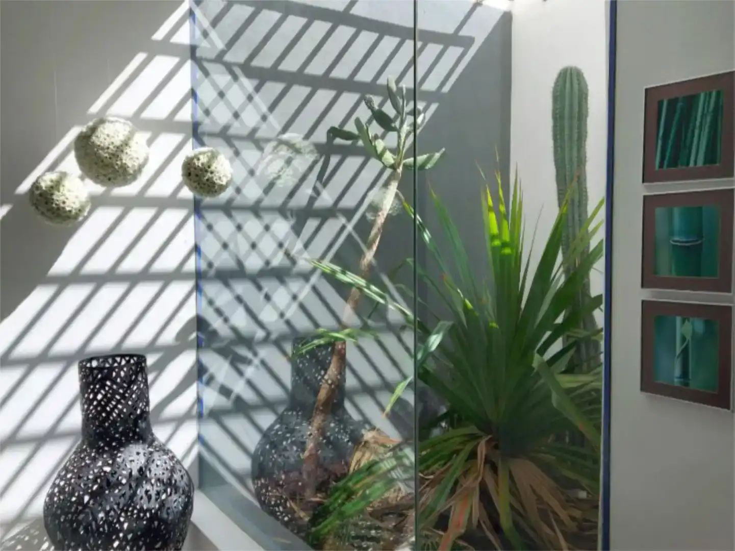 Jardín de Dúplex en venta en Adeje con Aire acondicionado, Terraza y Piscina