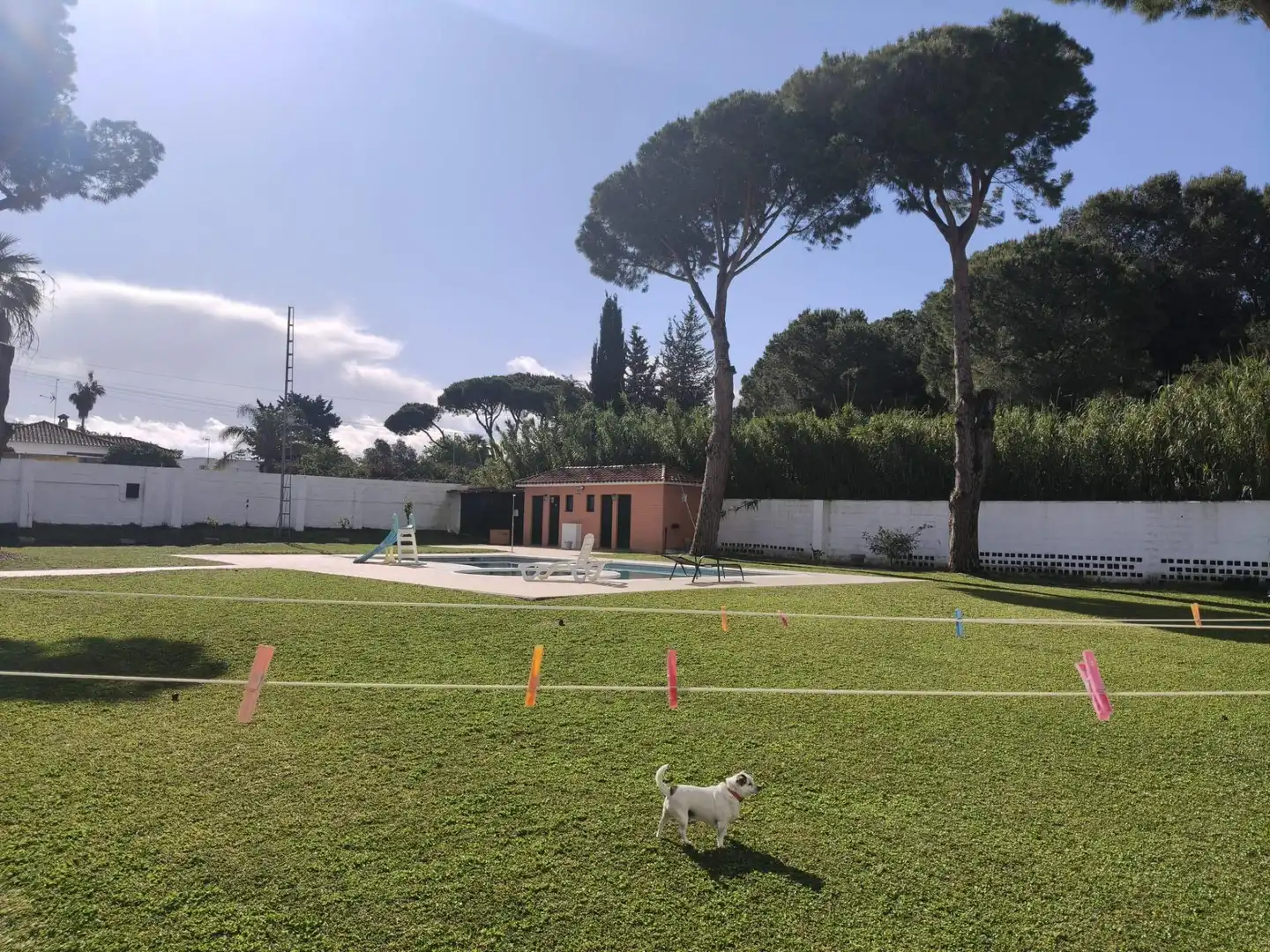 Jardí de Casa o xalet en venda en Chiclana de la Frontera amb Aire condicionat, Jardí privat i Traster