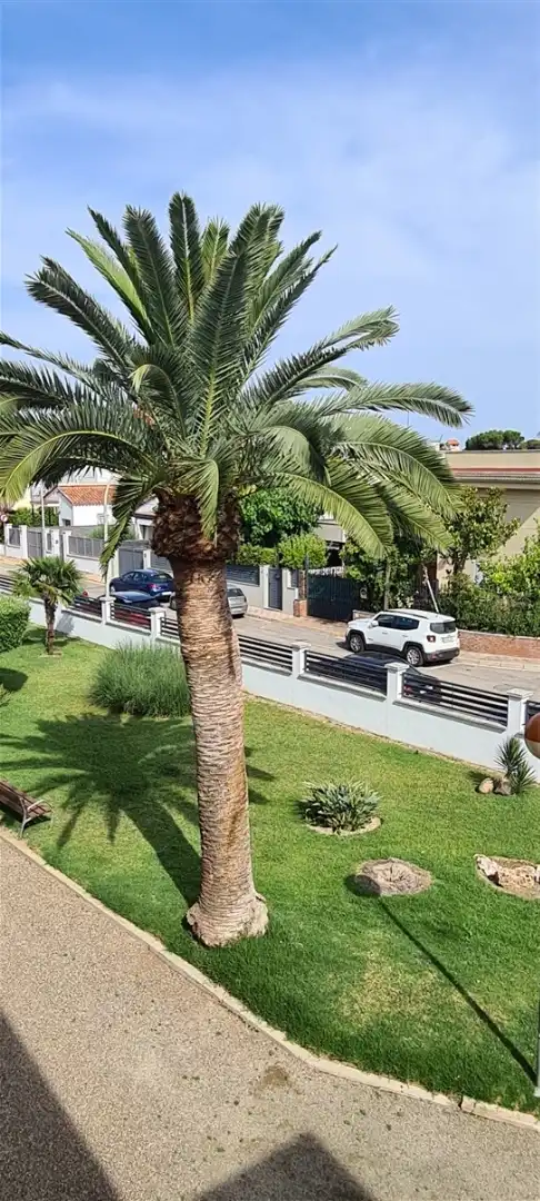 Apartament de lloguer a Carrer de Lleida, 25, Regueral - Prat d'en Forés