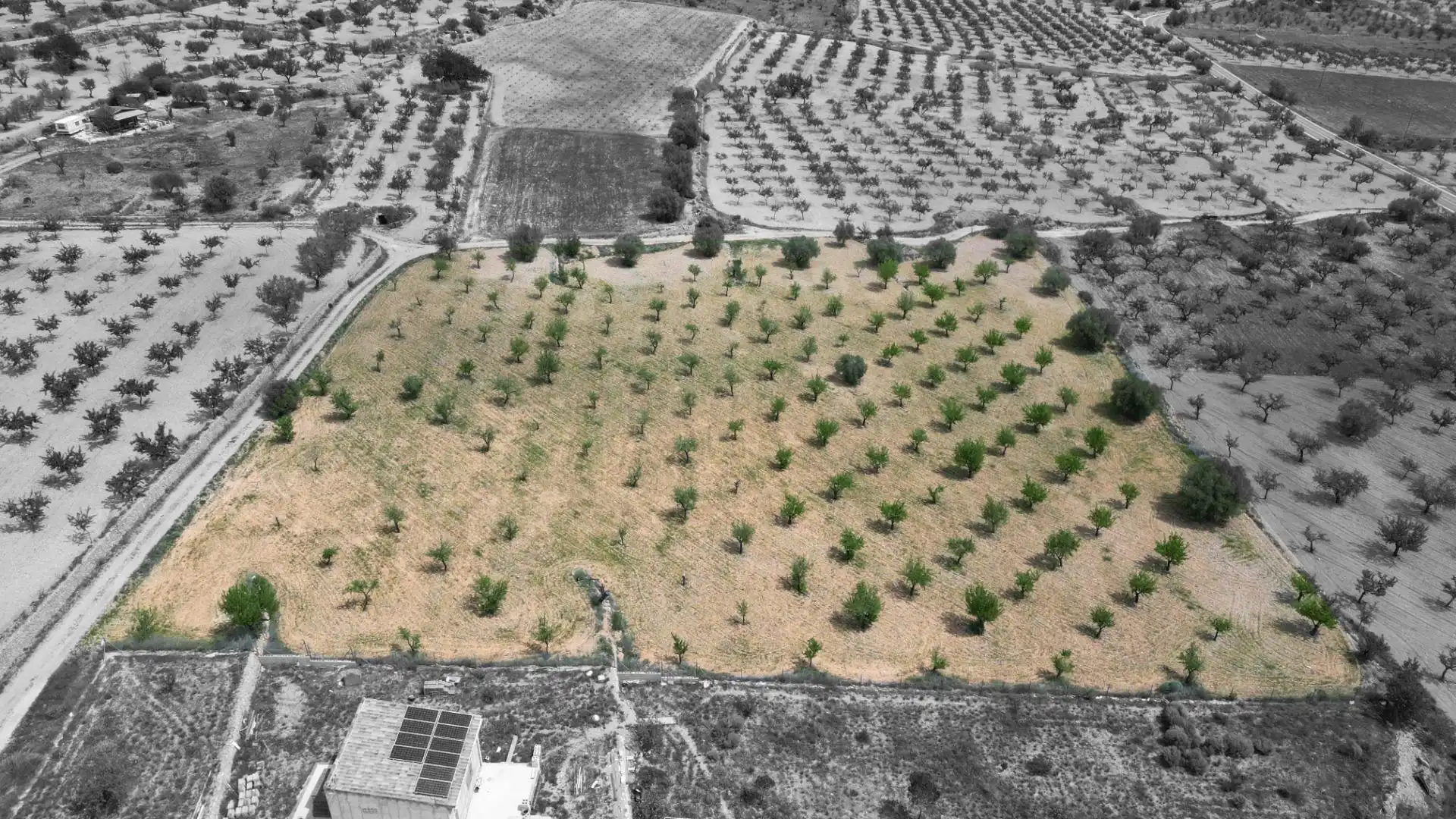 Terreny residencial en venda a Polígono 24, imagen 5