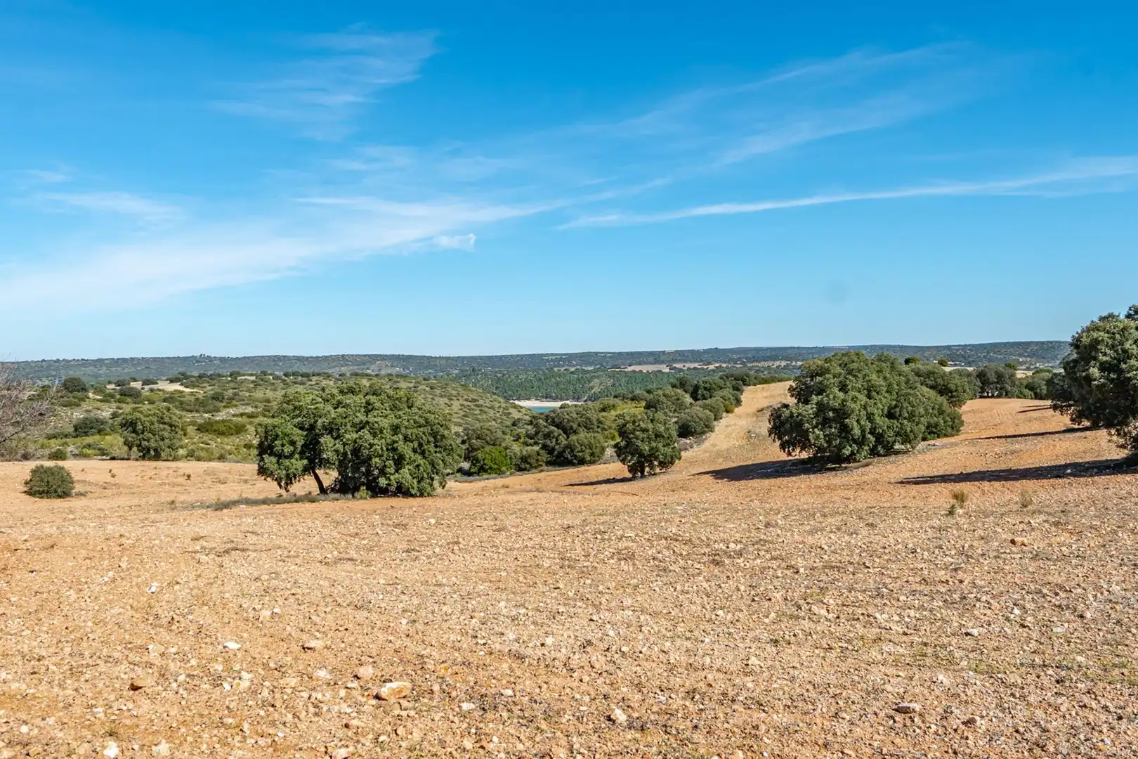 Finca rústica en venta en Polígono Polígono 123 Paraje 187 TERCERO, 18, Argamasilla de Alba