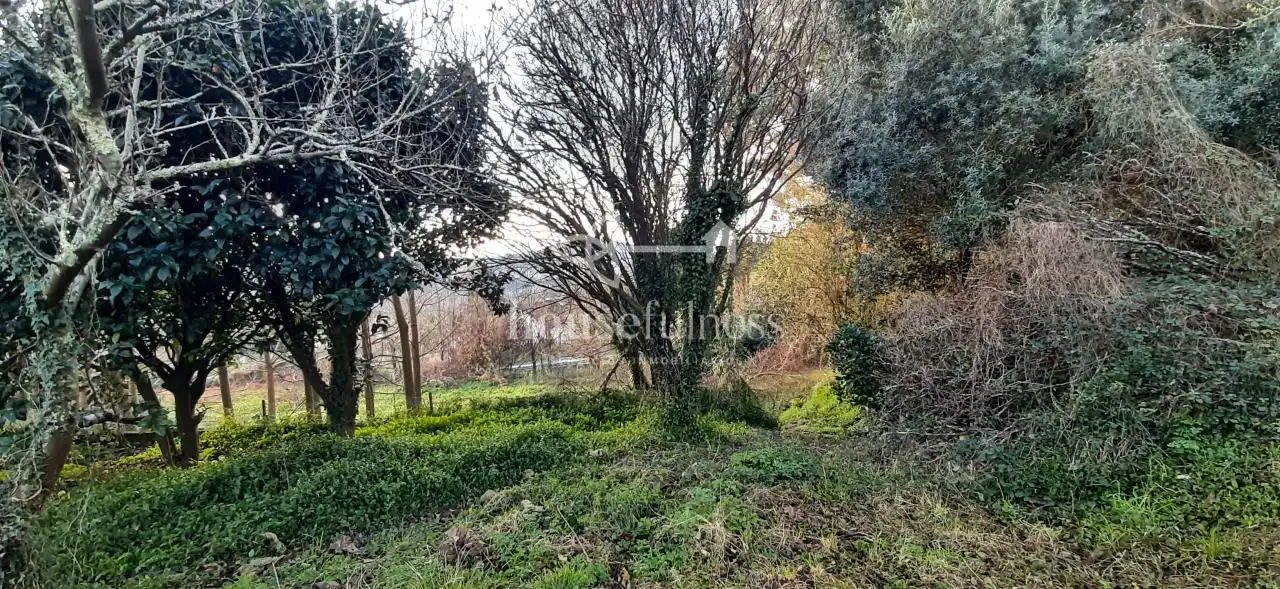 Terreni e lotti in vendita a Torre, imagen 2