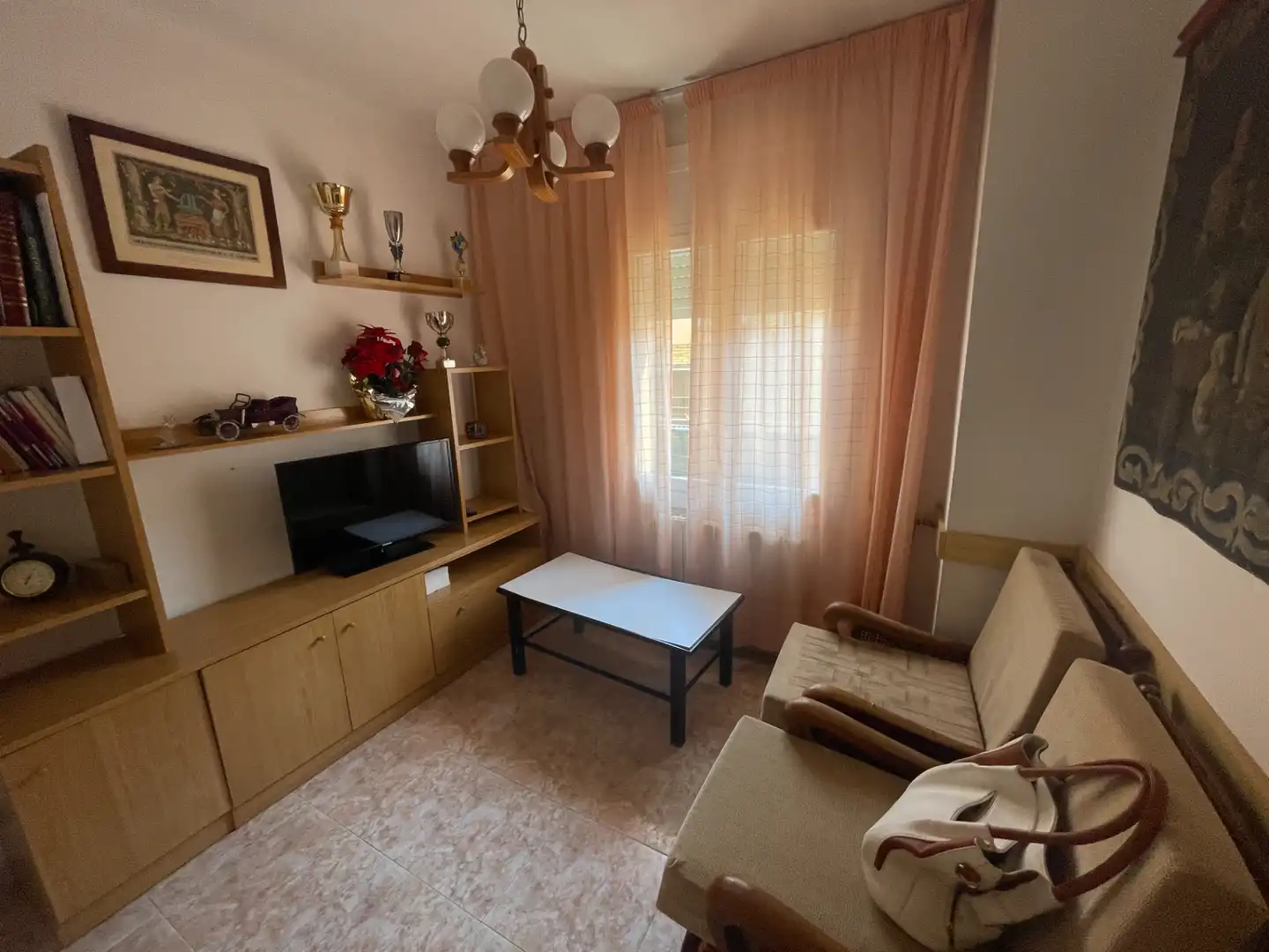 Sala d'estar de Casa o xalet en venda en Olot amb Calefacció i Balcó