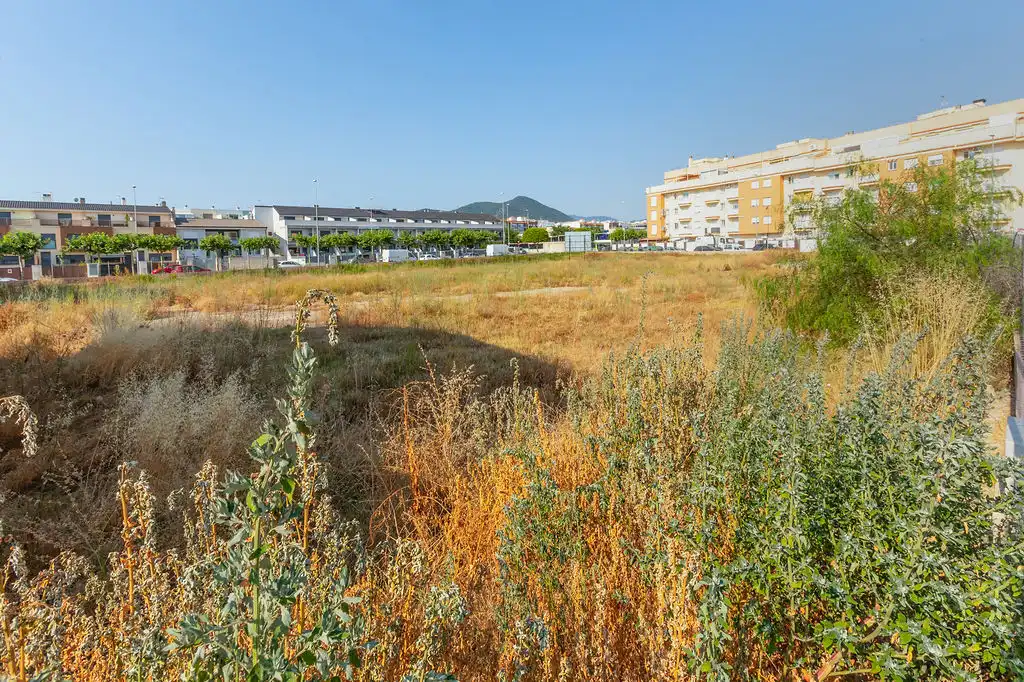 Rural land for sale in C/ Alquerías, imagen 21