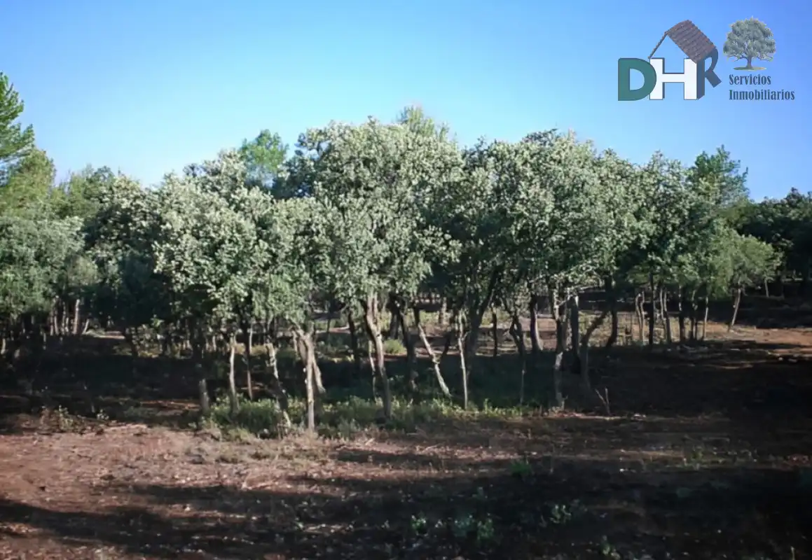 Terreni e lotti in vendita a San Fernando - Carretera de Valencia, imagen 8