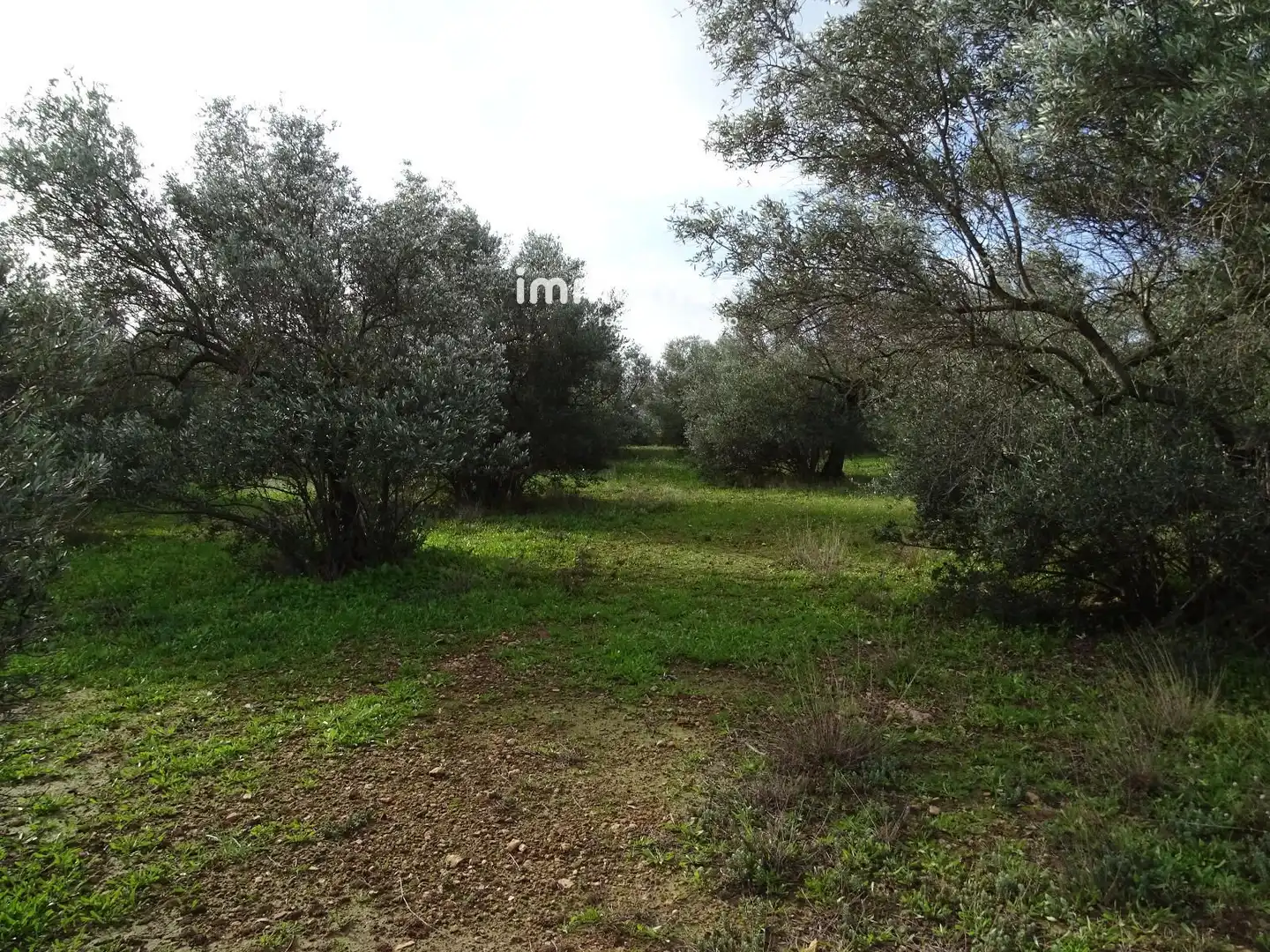 Terrain résidentiel à vendre à 16, imagen 24