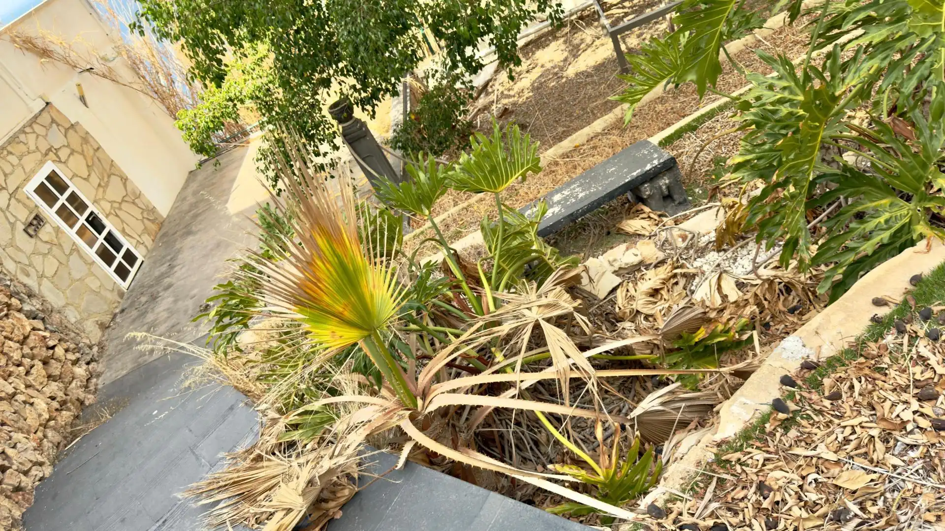 Garden of Houses for sale in Rincón de Loix