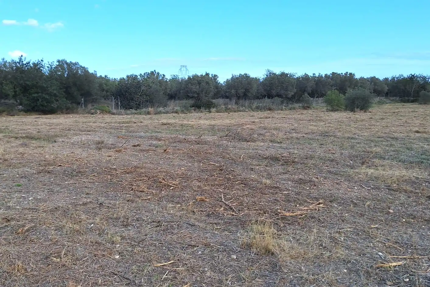 Terrain rustique à vendre à Carrer Andreu Llambrich 48, imagen 20