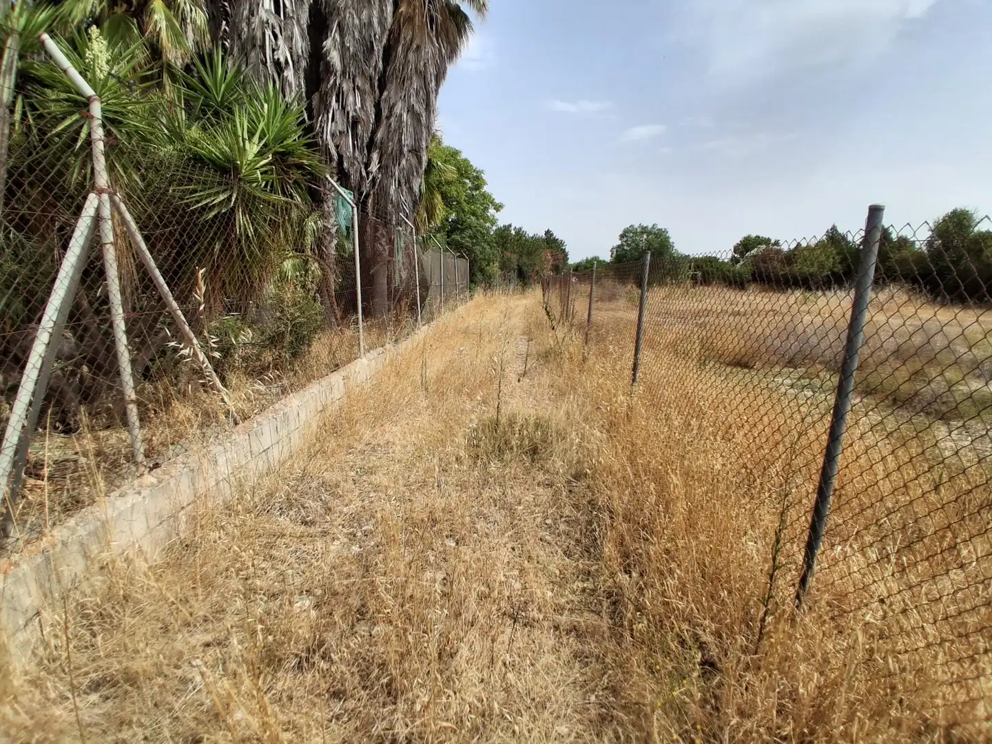Residential land for sale in Pinar de la villa, imagen 7