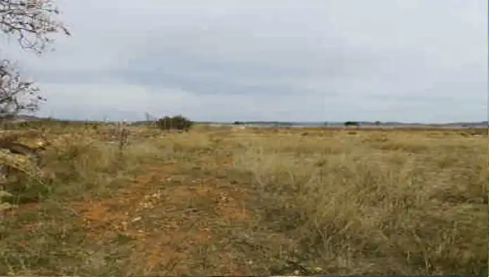 Rural land for sale in Ptda Bustalet, Varias parcelas, imagen 7