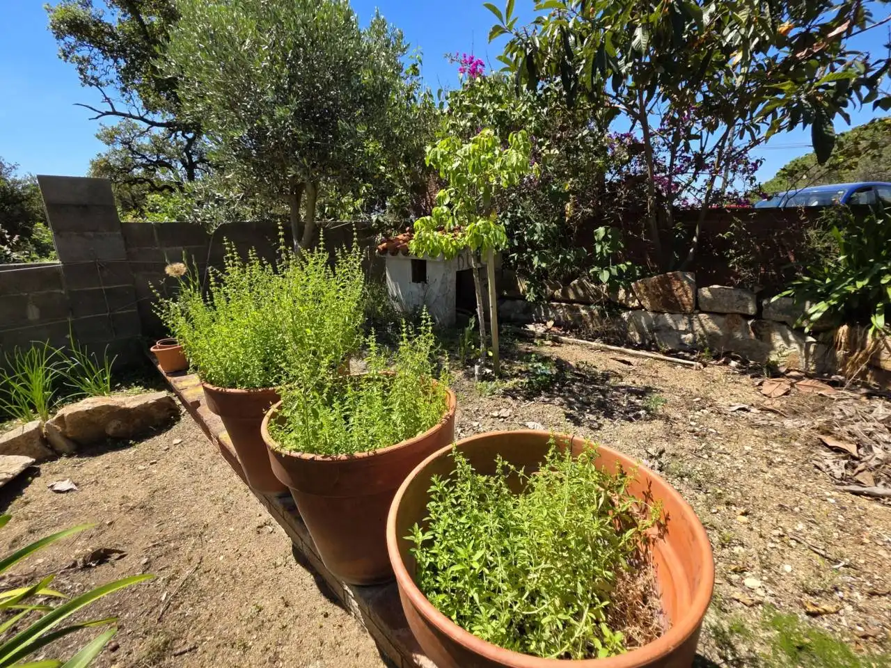 Jardí de Casa o xalet en venda en Malgrat de Mar amb Aire condicionat, Calefacció i Jardí privat
