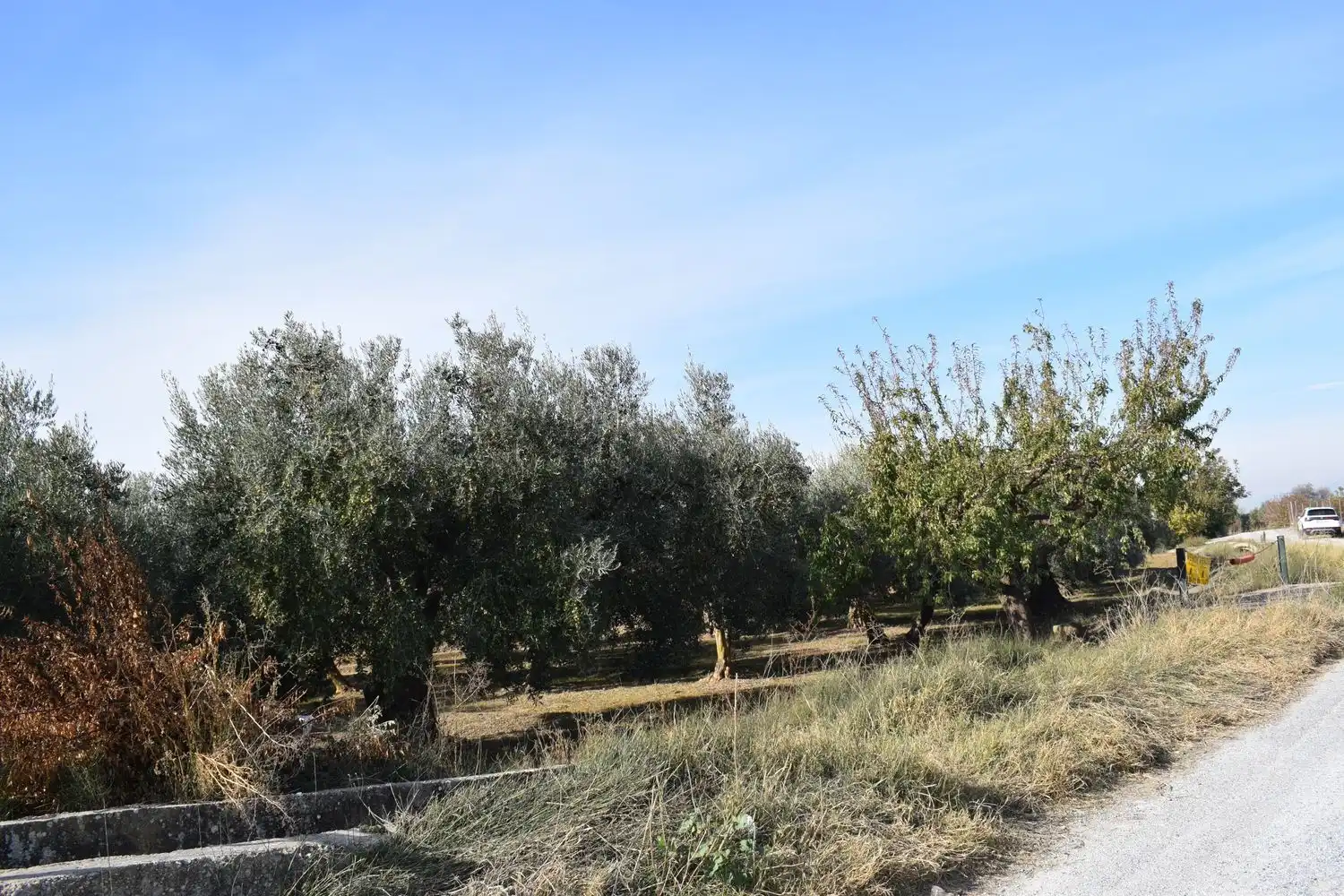 Terreno rustico in vendita a LOS MOLINOS, imagen 21