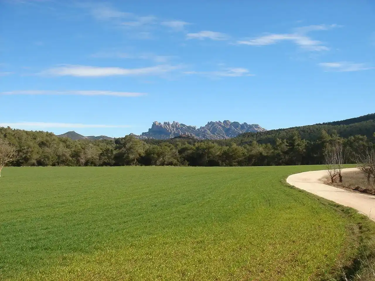 Wohnung zur Miete in Castellolí