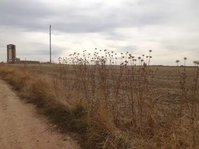 Terreny residencial en venda a Cabañas de la Sagra, imagen 2