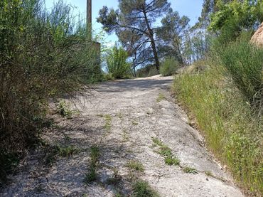 Terreno rustico in vendita a PINEDA