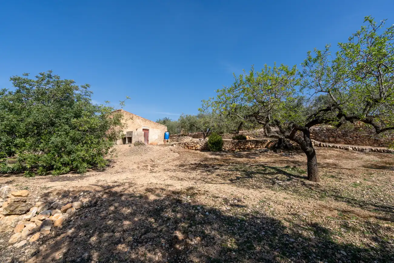 Terrain rustique à vendre à Camí Del Filato 1093, imagen 11