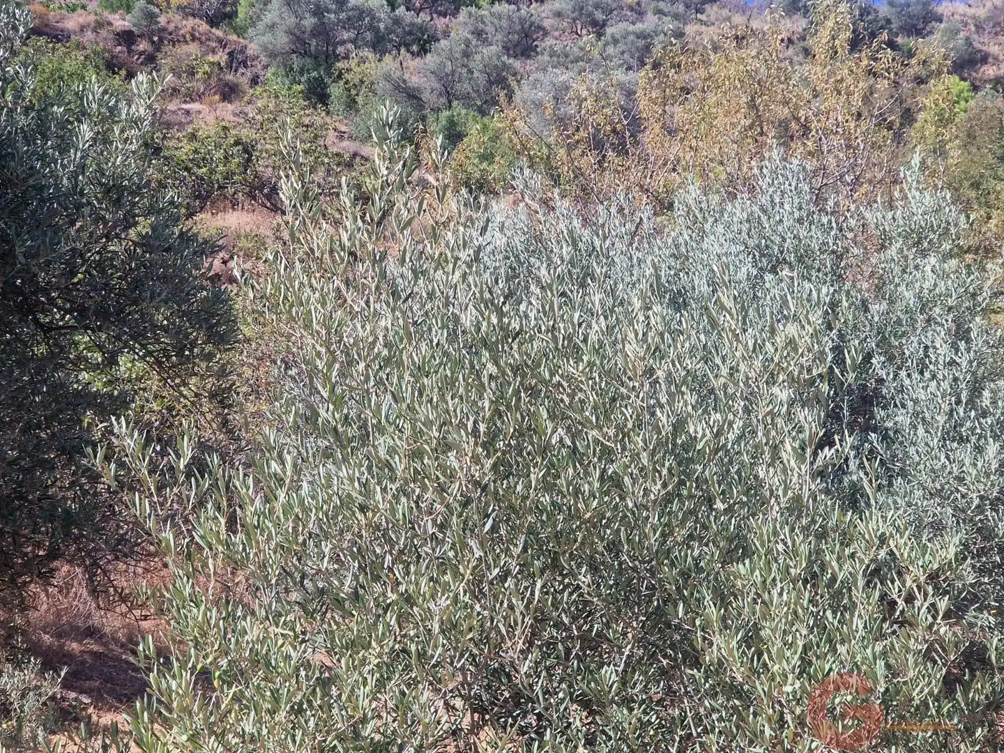 Terreni e lotti in vendita a Ítrabo, imagen 4