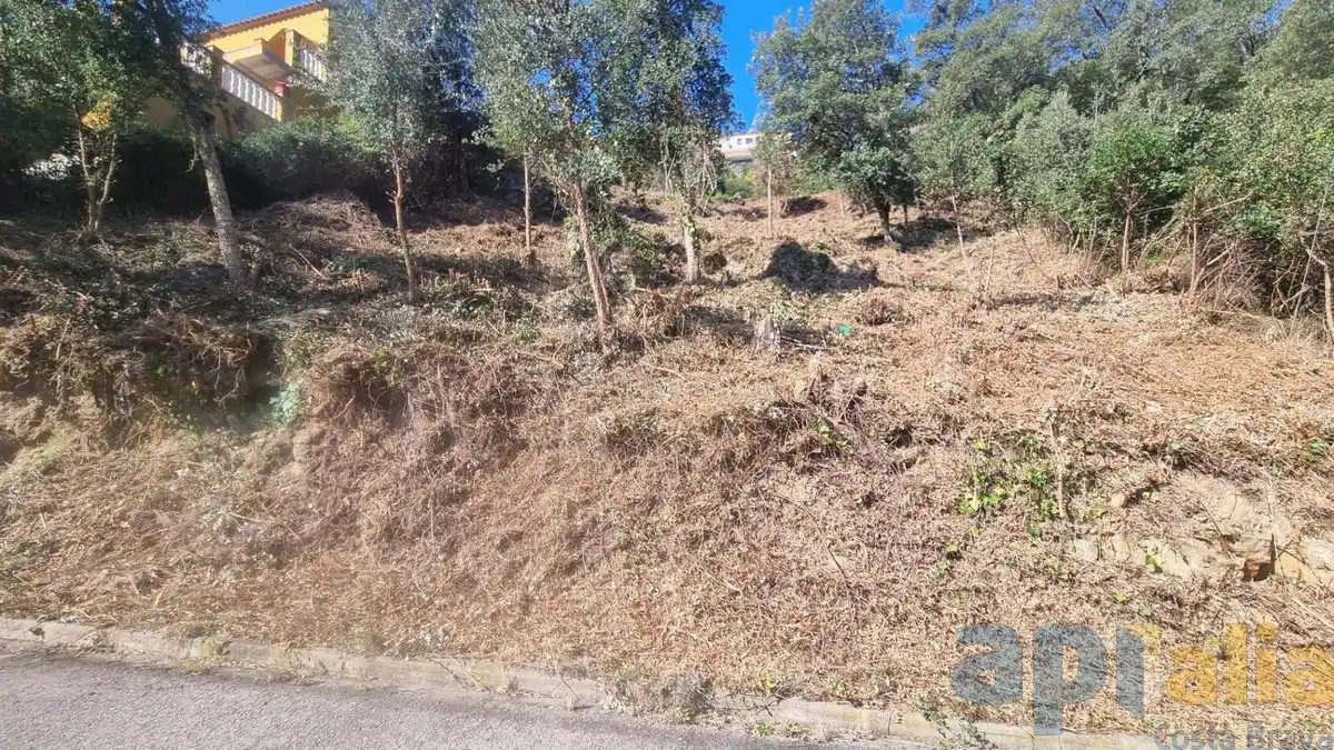 Wohnbaugrundstück zum Verkauf in Carrer Xiprer, imagen 8