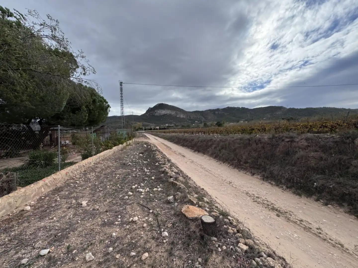 Terreno rústico en venta en Peña Rubia