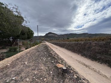 Terreny rústic en venda a Peña Rubia