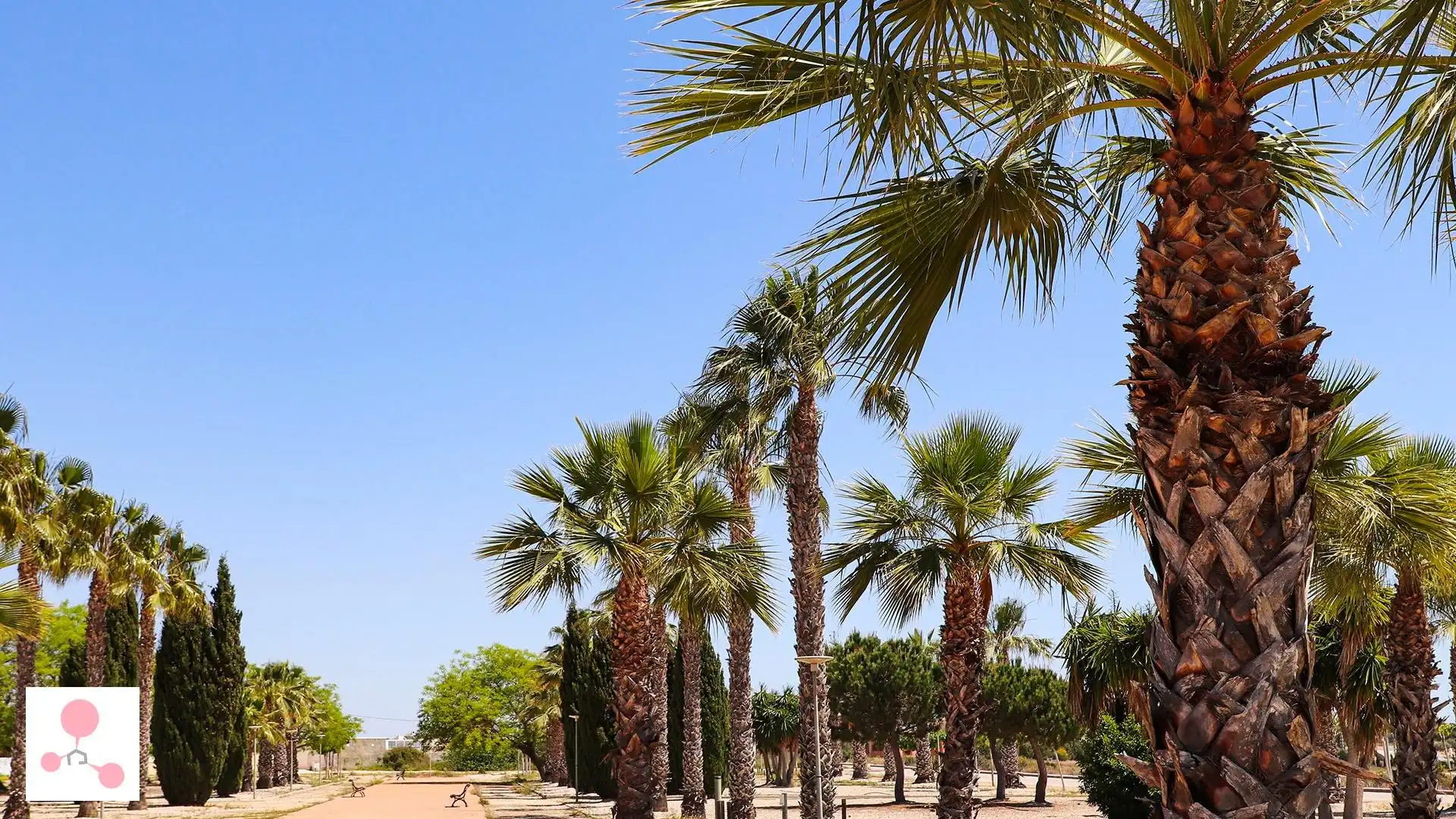Villa con piscina in vendita a San Fulgencio, imagen 9
