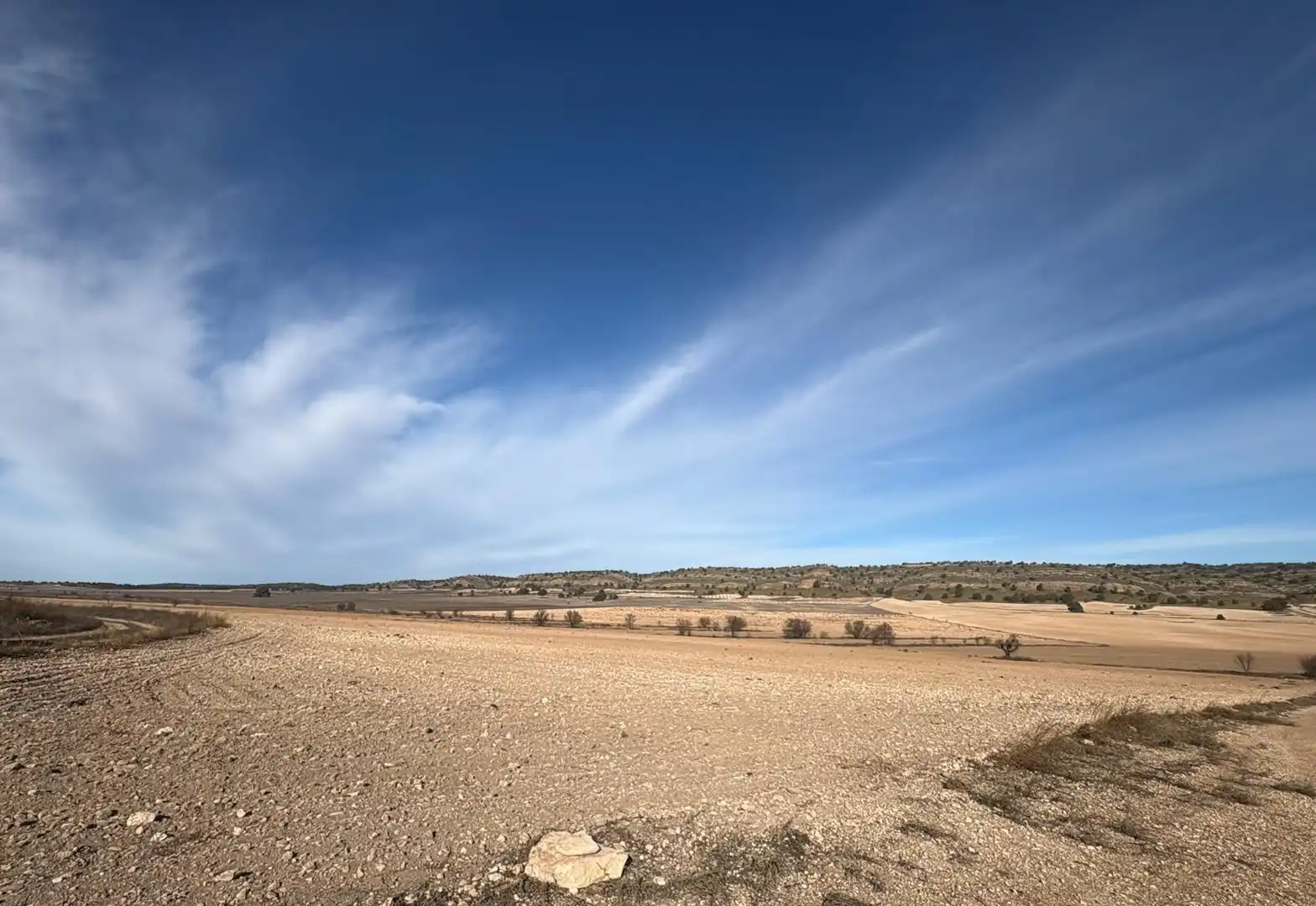 Finca rústica en venta en Ontur