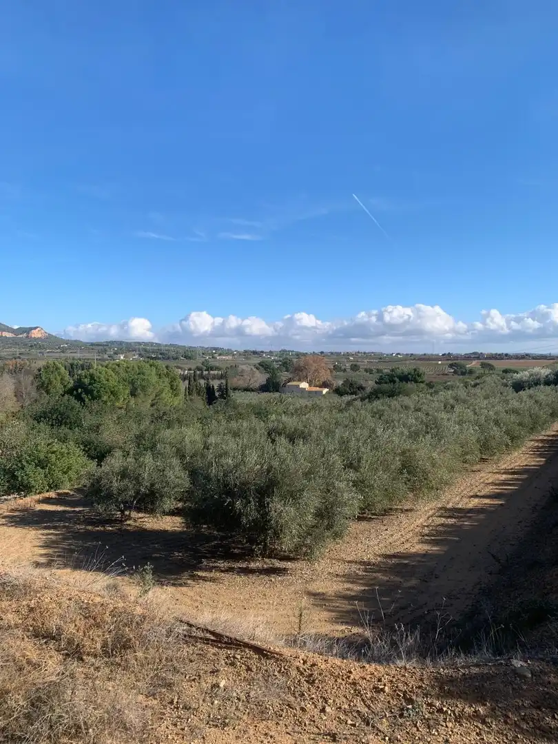 Terrain rustique à vendre à Moli de Vent, imagen 25