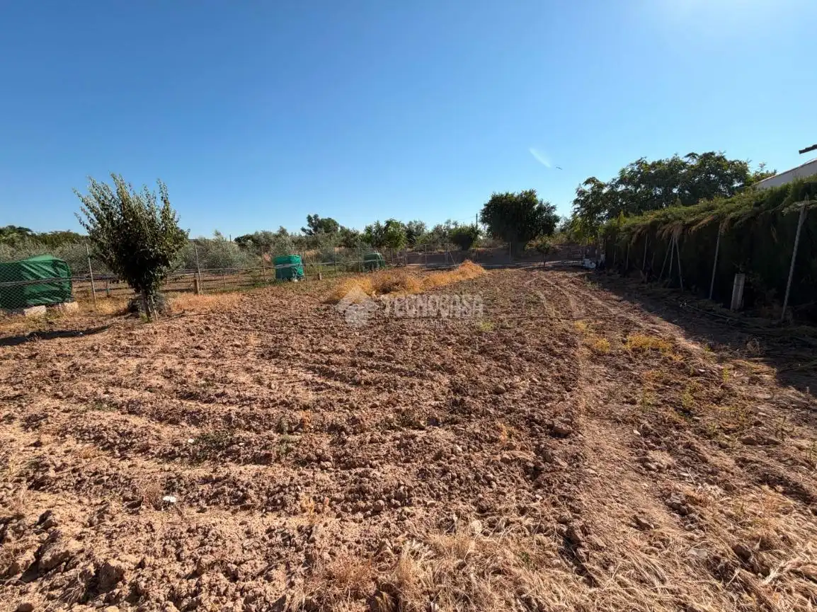 Terreno rustico in vendita a Puente Genil, imagen 10