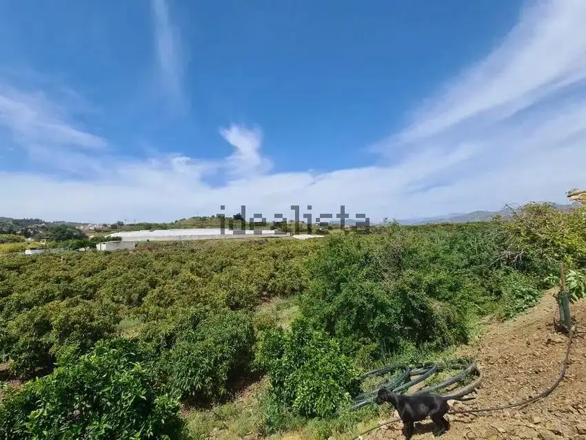 Terrain rustique à vendre à Vélez-Málaga ciudad