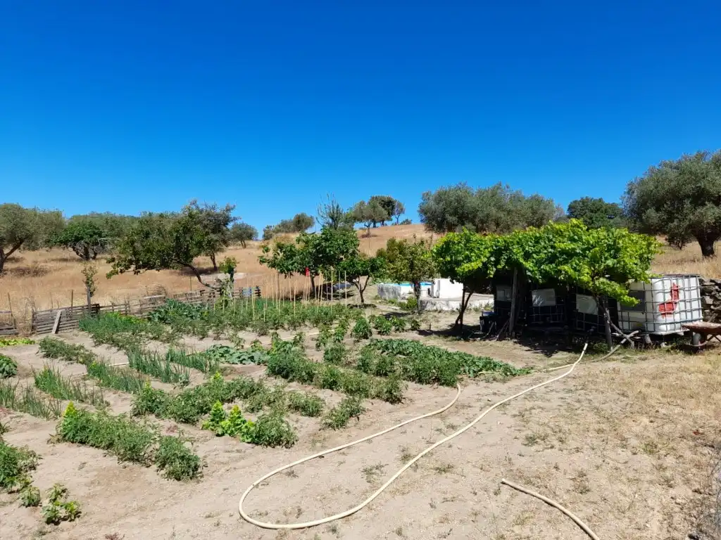 Jardí de Casa o xalet en venda en San Vicente de Alcántara