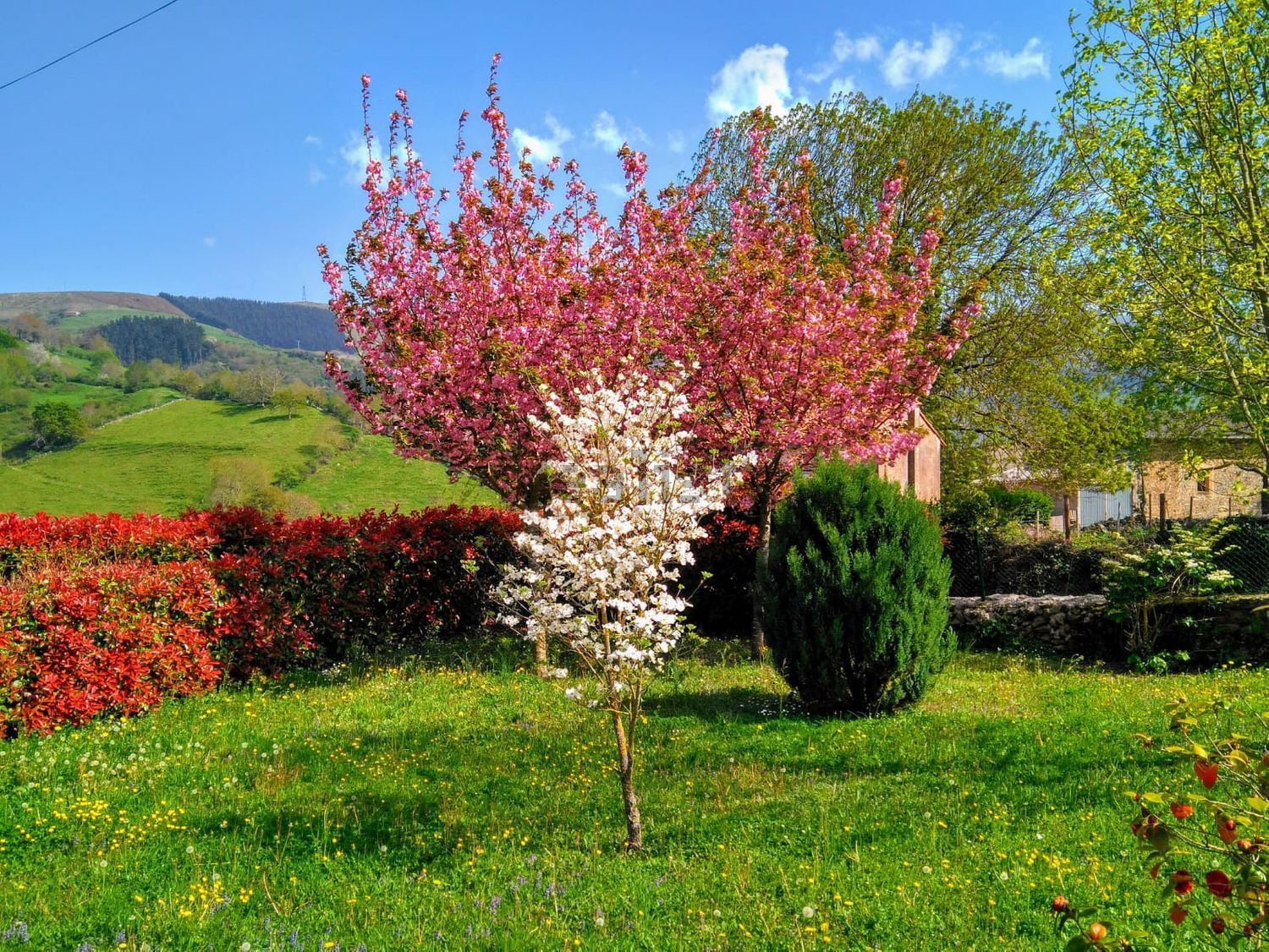 Garden of House or chalet for sale in Anievas  with Heating, Terrace and Storage room