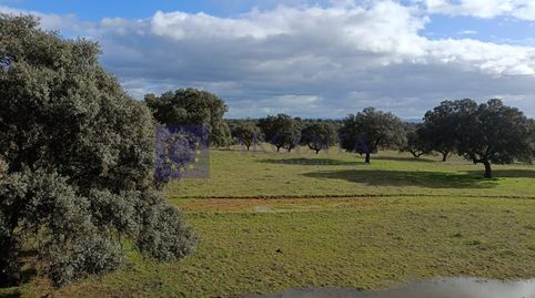 Foto 4 de Casa o chalet en venta en Urbanizacion la Hilera, Navalmoral de la Mata, Cáceres