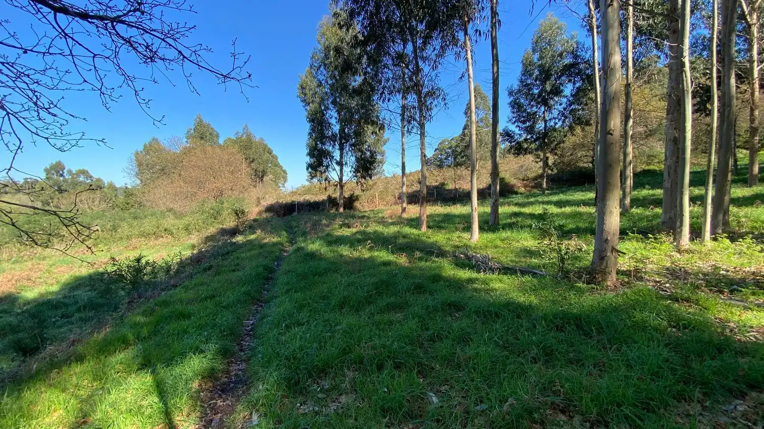 Terreni e lotti in vendita a Rúa Camiño dos Muiños 18, imagen 9