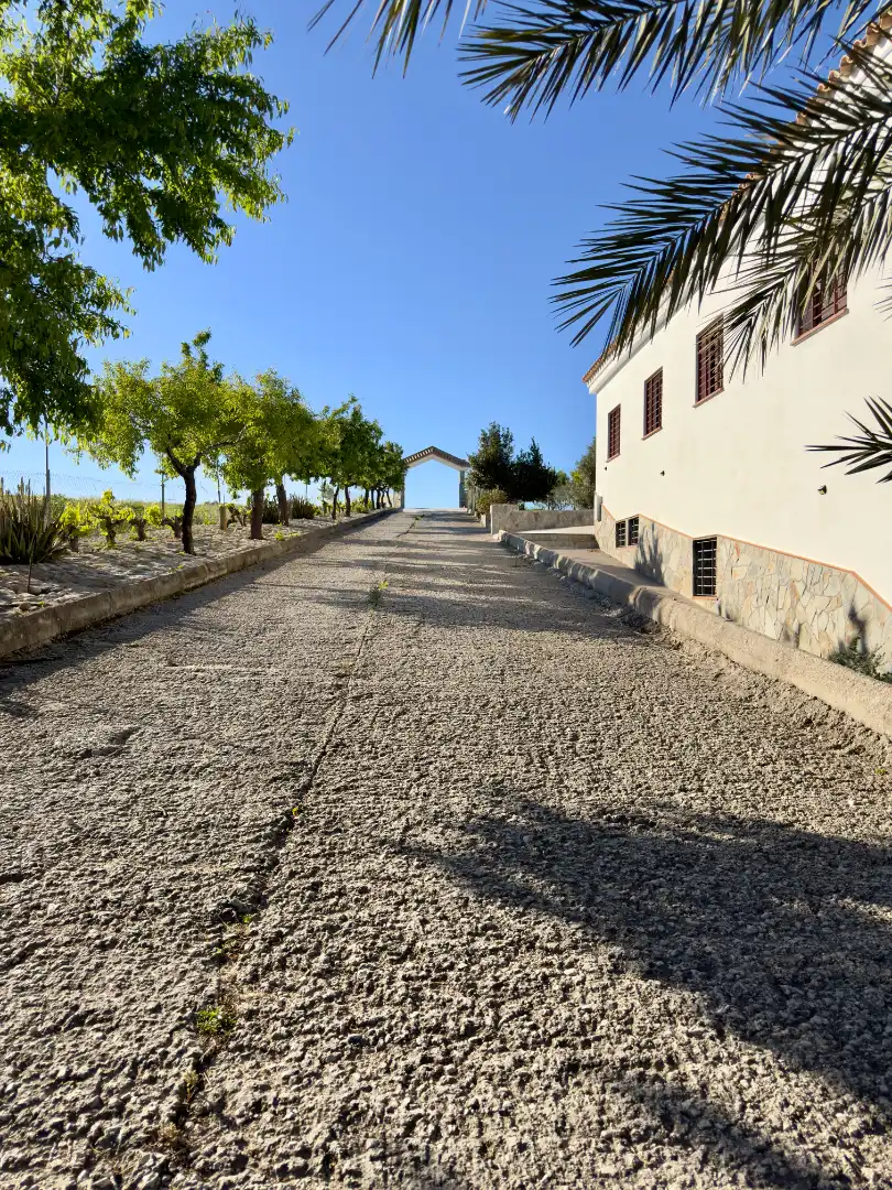 Vista exterior de Finca rústica en venta en Arcos de la Frontera con Aire acondicionado, Calefacción y Jardín privado