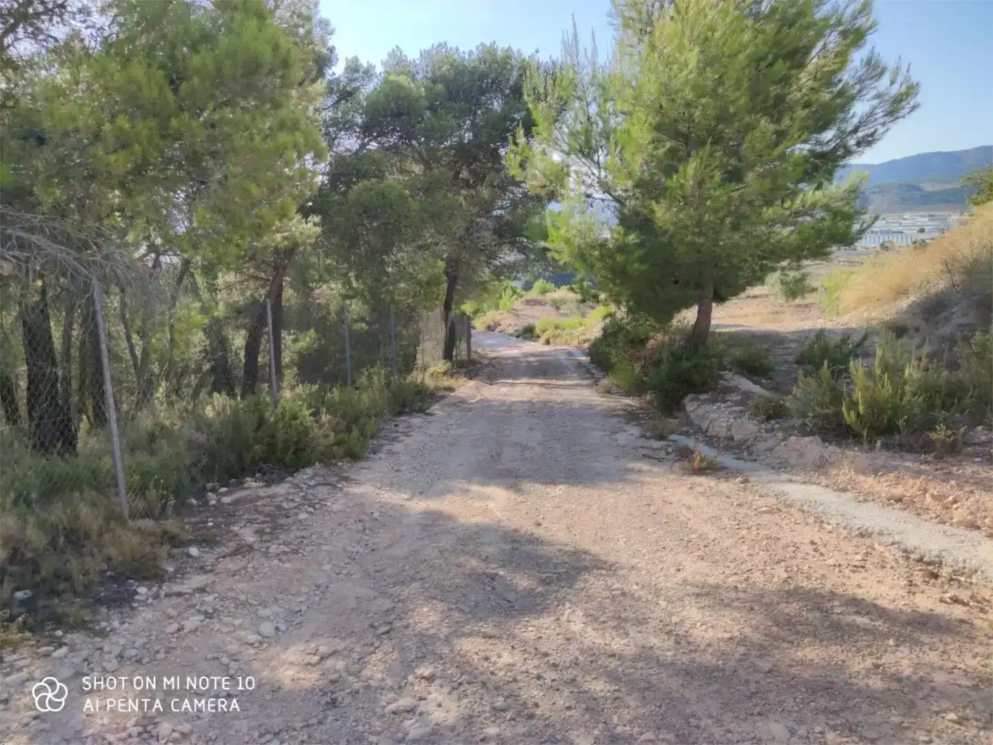 Finca rústica en venda en Ibi