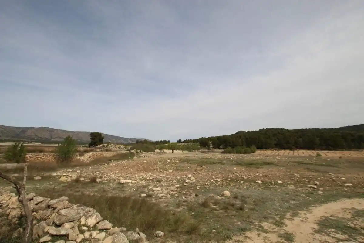 Detached house for sale in Monóvar  / Monòver, imagen 6