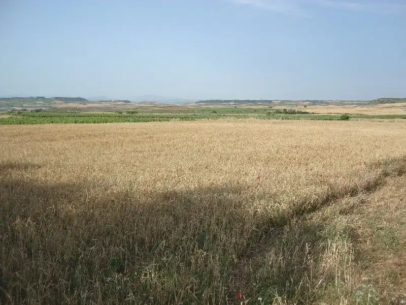 Terrenys i solars en venda a Alberite, imagen 2