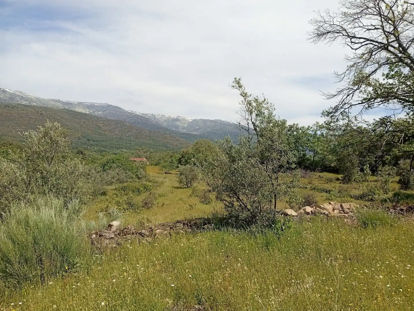 Terreni e lotti in vendita a Villanueva de la Vera, imagen 77