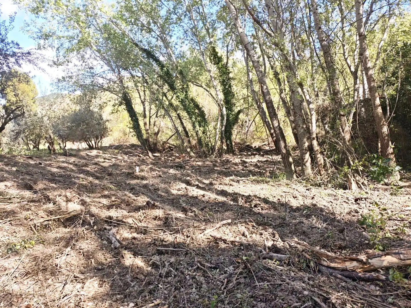 Grundstücke zum Verkauf in Jaén