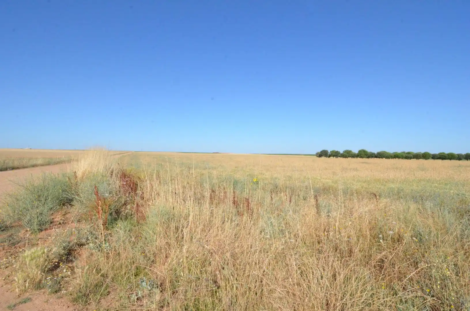 Terreny rústic en venda a Calzada de Valdunciel, imagen 4