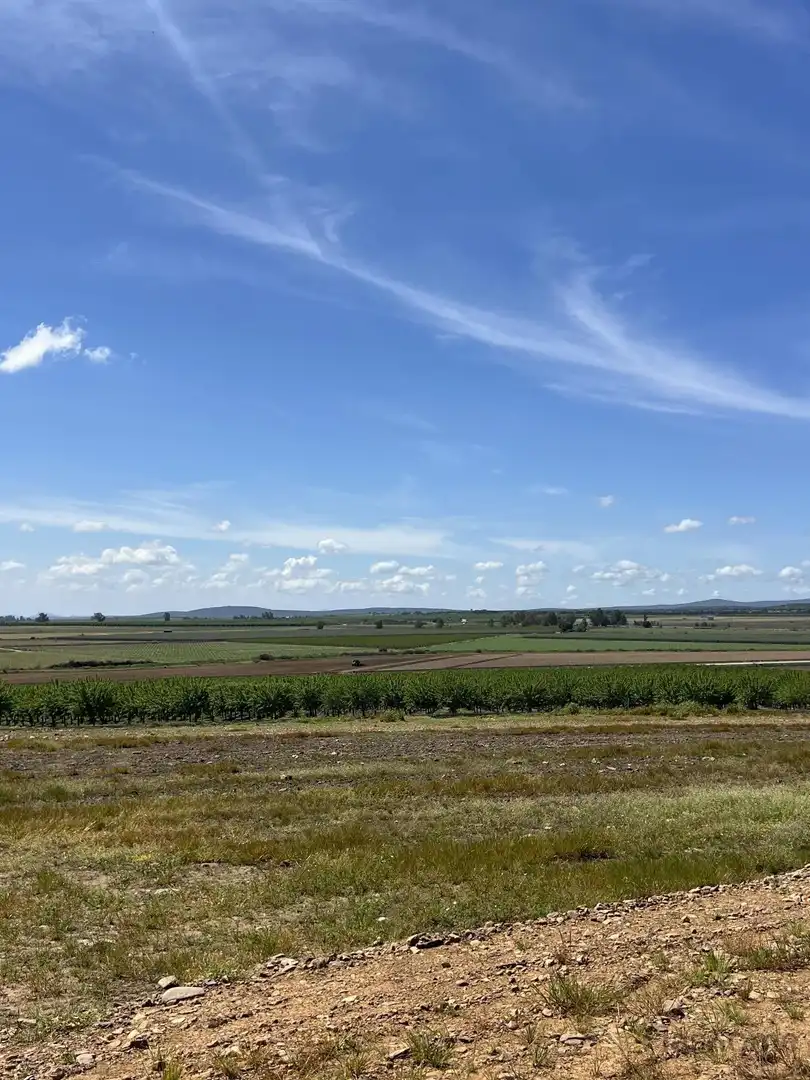 Finca rústica en venta en Santa Amalia